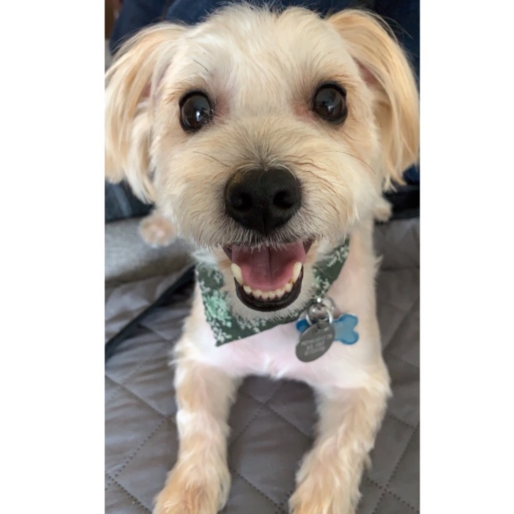 Meet your Posher, Garrett